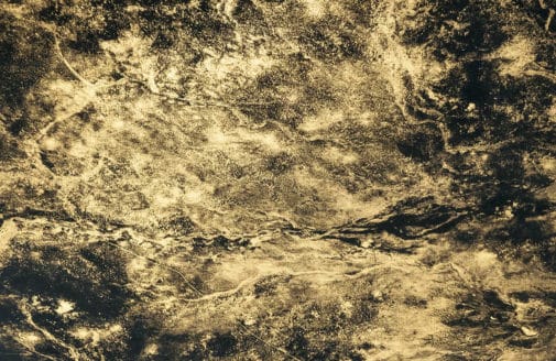 LANDSCAPE STUDY I, GOLD, 2014-2015. Photo by Justin Brice Guariglia