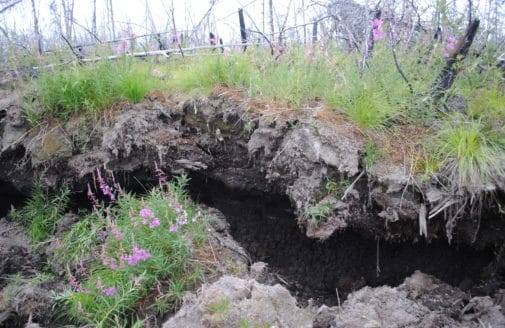 Arctic landscape evidence of permafrost thaw