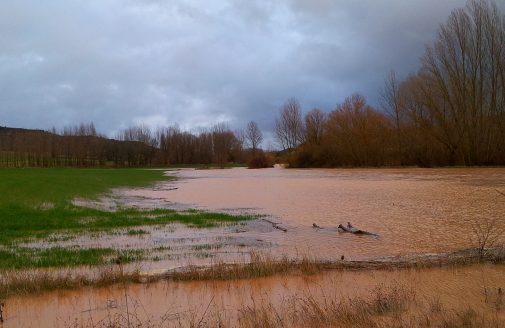 Field flooded from river overflowing its banks.