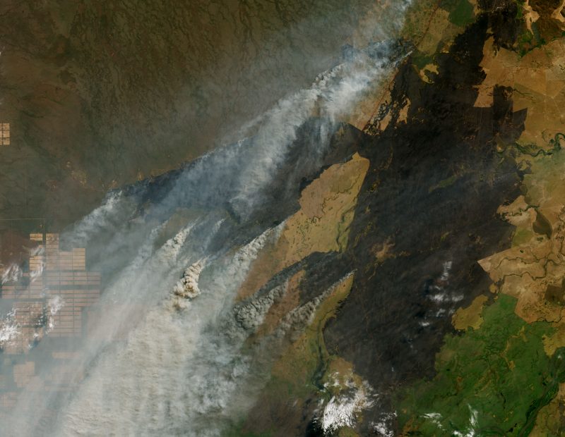 satellite image of fires' smoke in Bolivia.