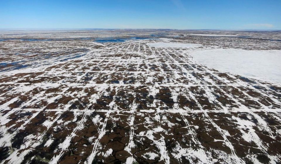 Seismic Survey vehicle tracks in the Arctic National Wildlife Refuge