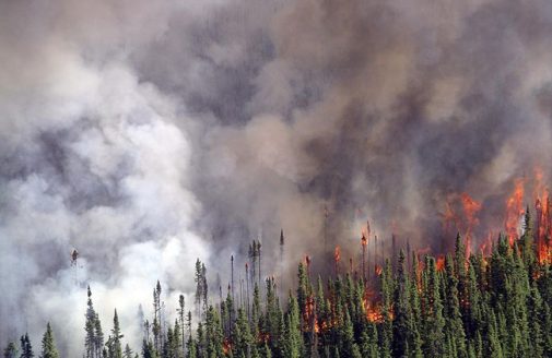Spruce fire in Kenai National Wildlife Refuge