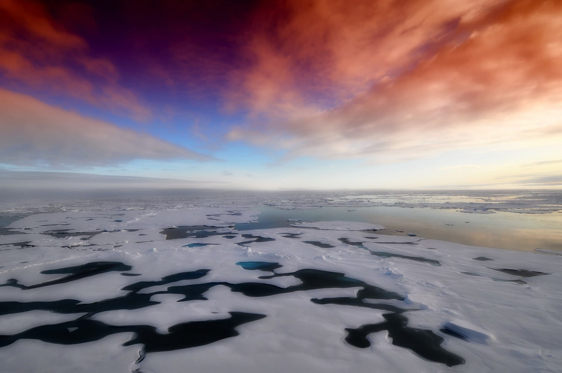 Why has no new record-minimum Arctic sea ice extent occurred since
