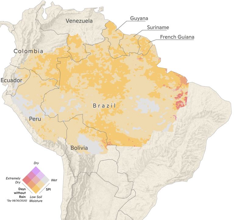 2020 Amazon rainfall map through August