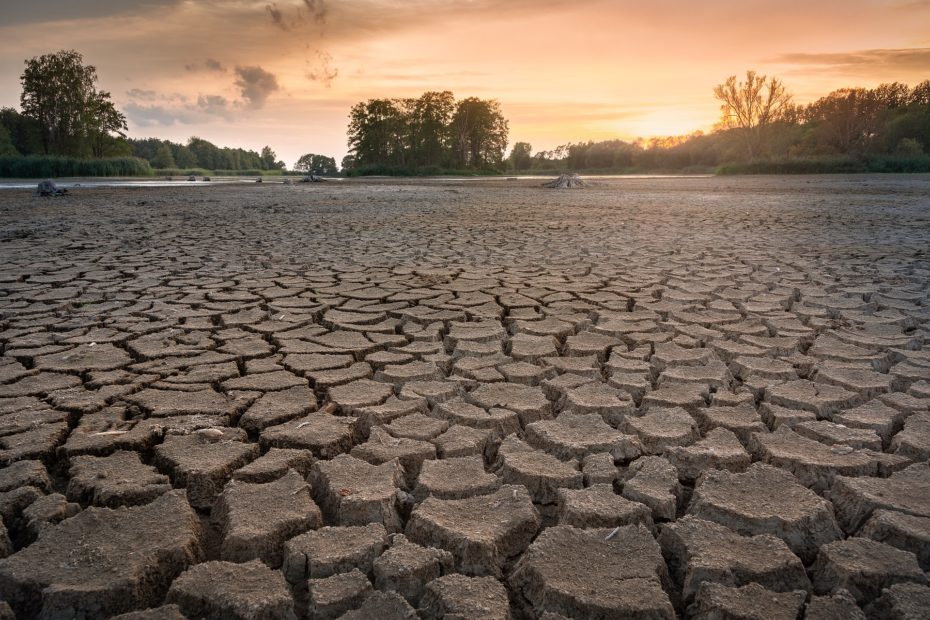 dry and cracked lake bed