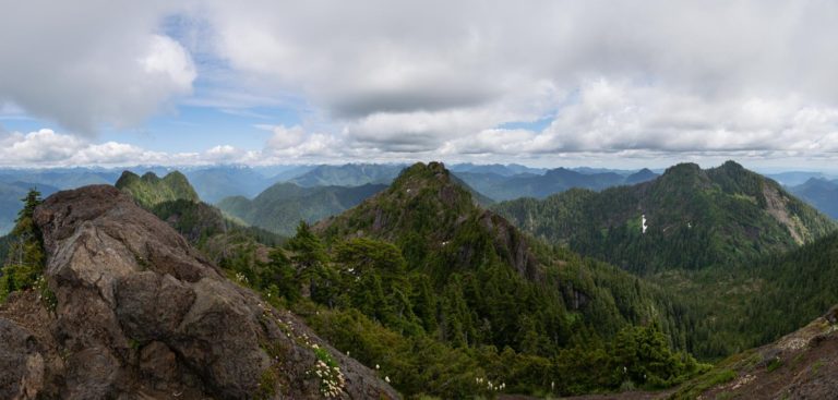jefferson county washington forest and mountain peaks