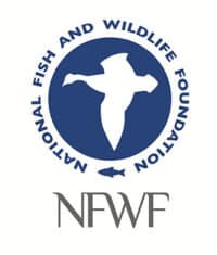national fish and wildlife foundation logo, depicting a flying bird silhouette and a fish