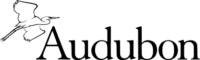 logo that says audubon with a line drawing of a long-necked, long-legged bird