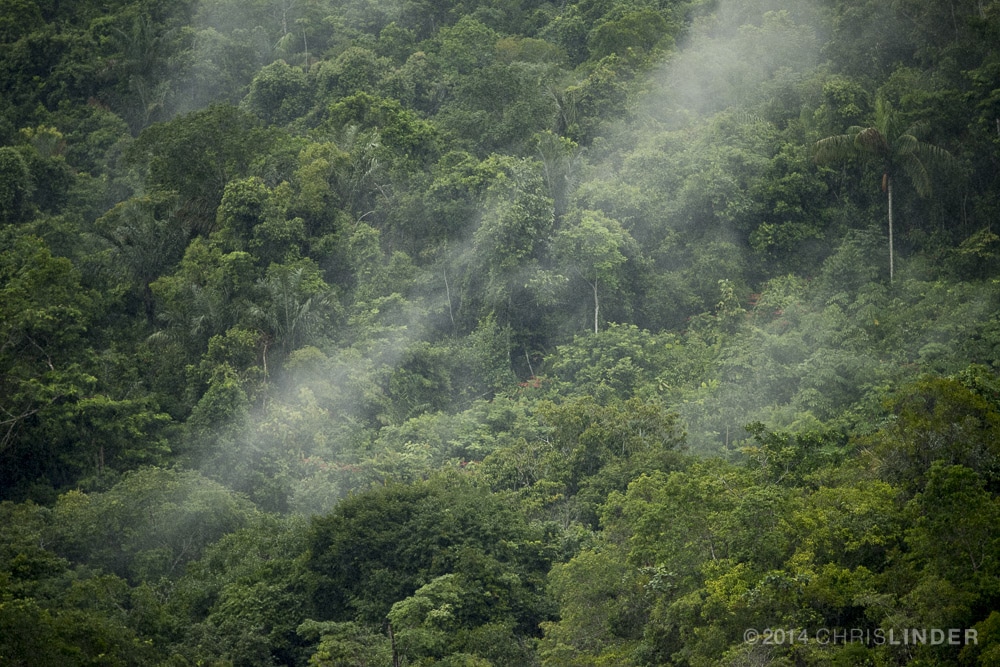 Mist over the Amazon rainforest, photo by Chris Linder