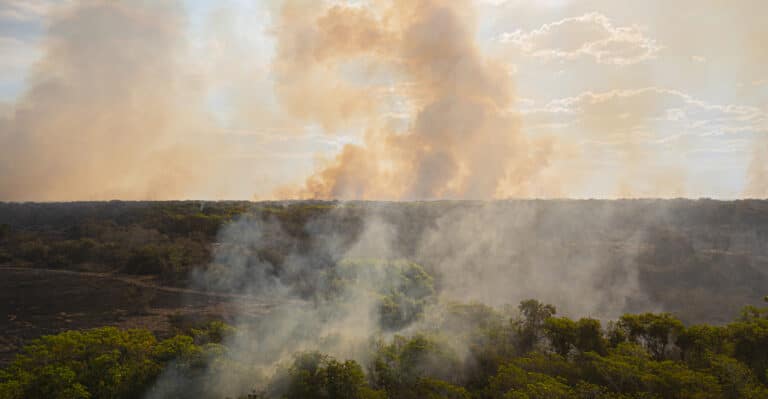 Pantanal fire, photo by Illuminati Filmes