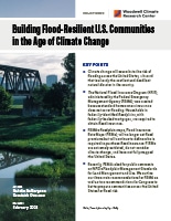 policy brief cover