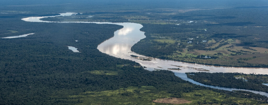 Amazonian river viewed from the air