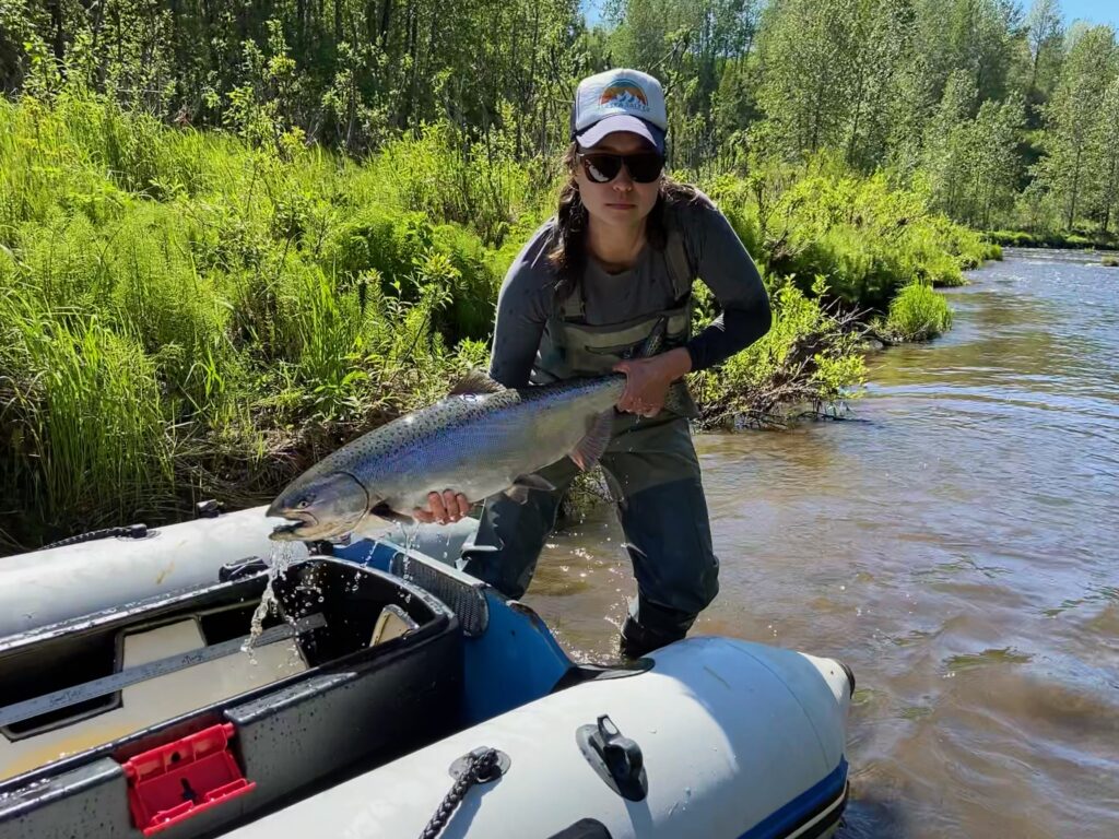 Taking measures of Alaskan salmon, photo by Madeleine Lee