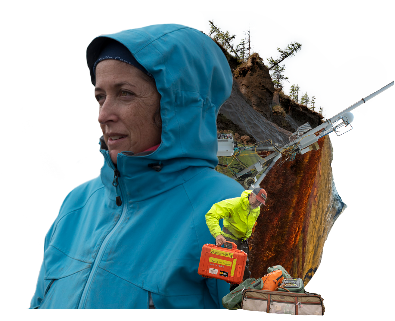 collage of sue natali and permafrost scientists