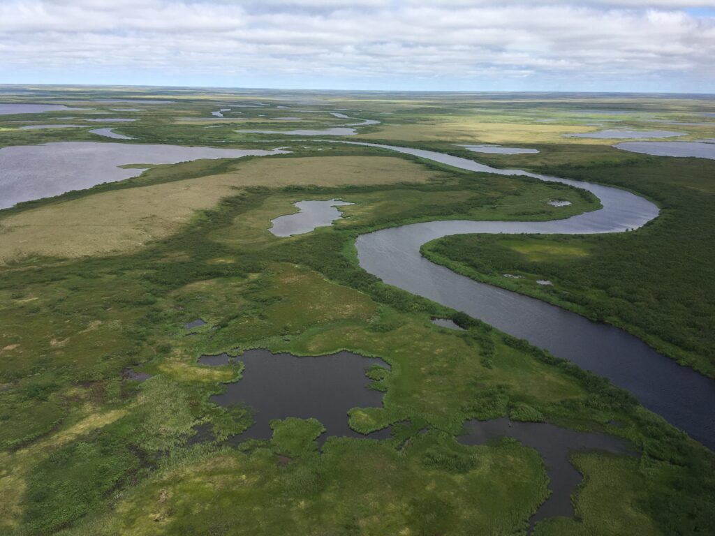 Aerial image of river winding through Arctic tundra.