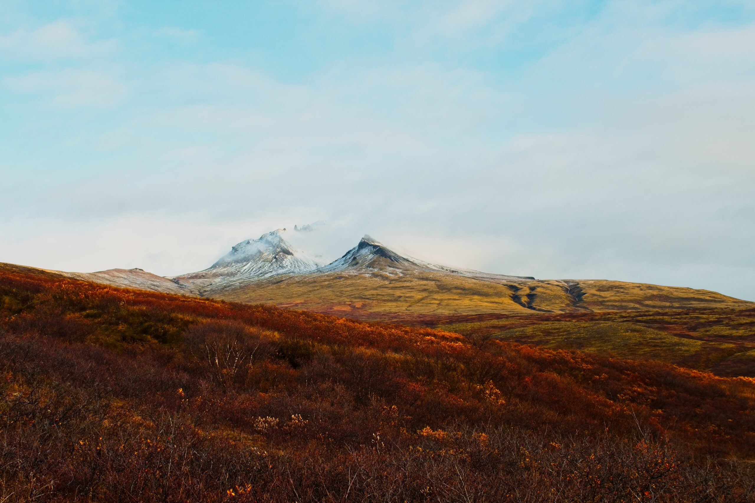arctic landscape