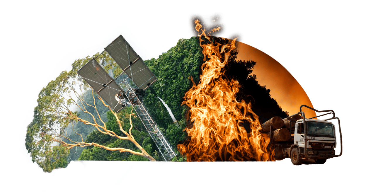 graphic collage
