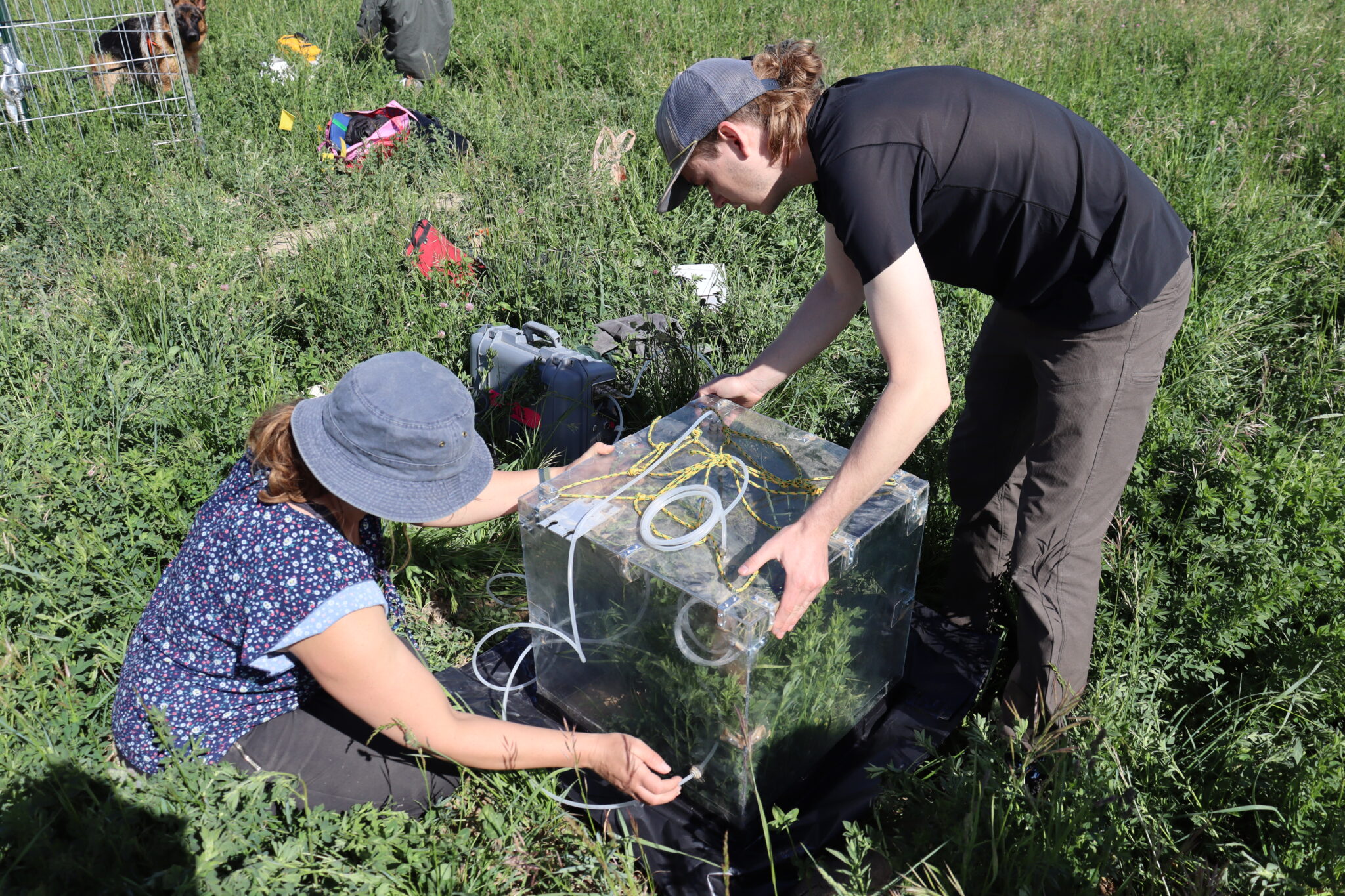 watts and noomah set up a carbon flux chamber