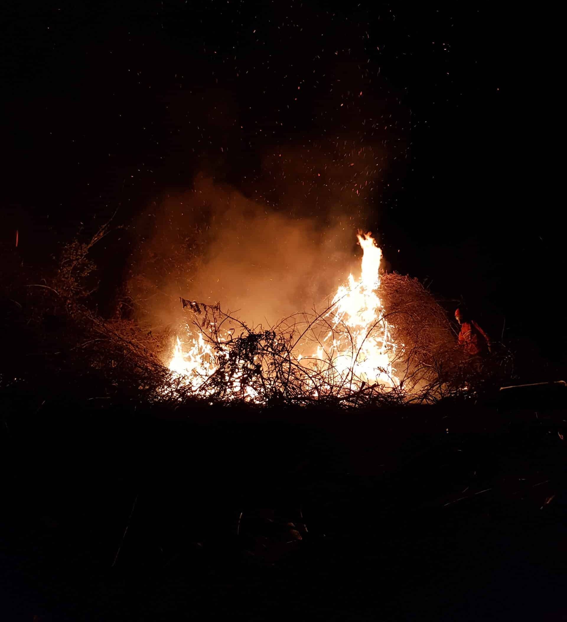 Fire in the Pantanal region of Brazil silhouetted against dark night sky. photo by Manoela Machado