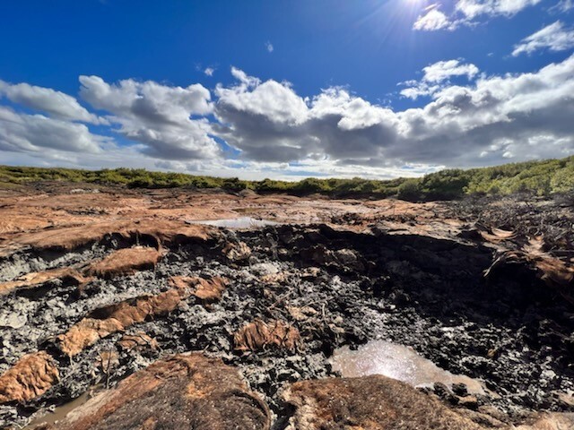 empty lake bed with clumps of mud and small puddles