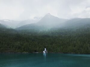 View of Tongass National Forest