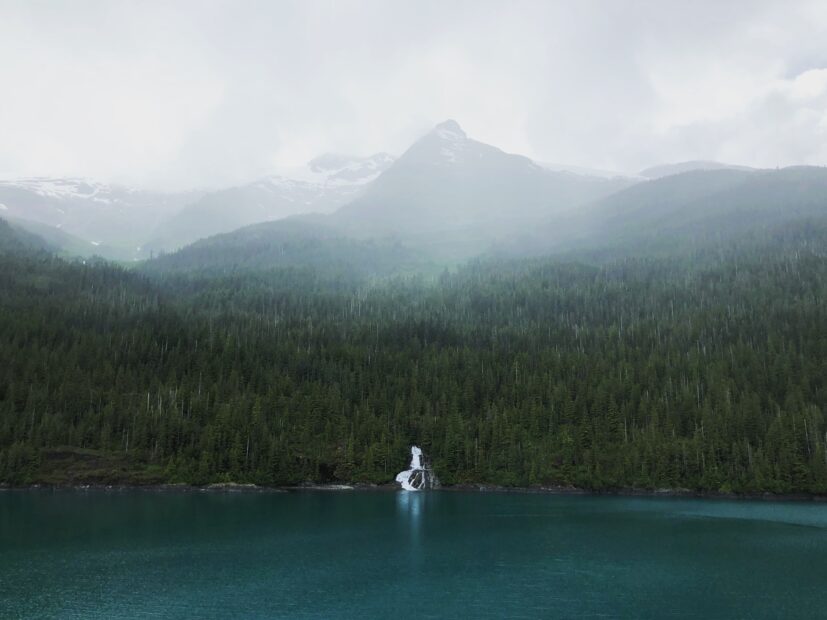 View of Tongass National Forest