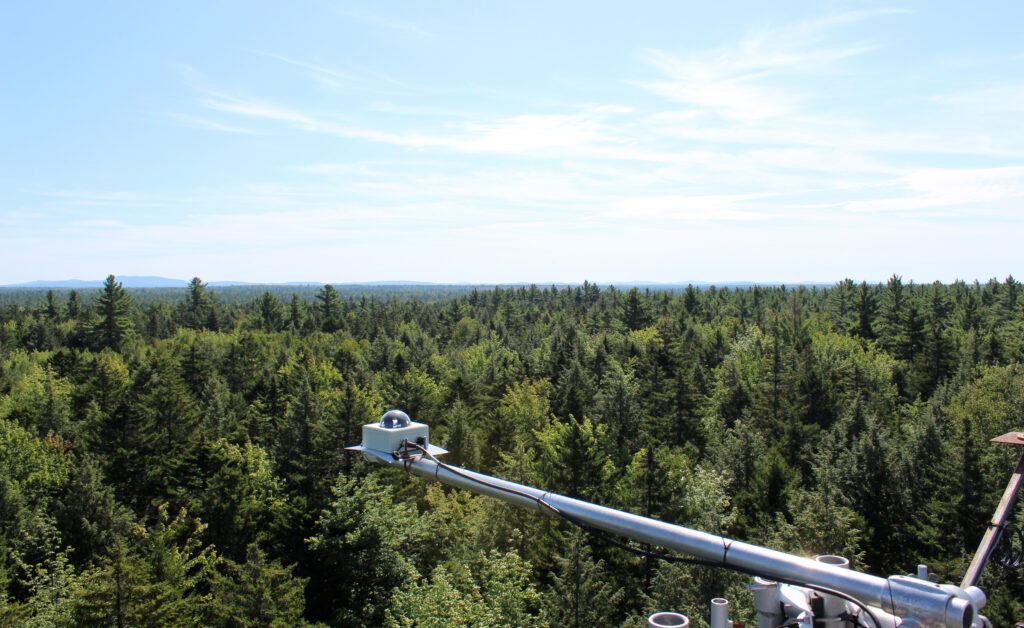 Carbon monitoring equipment over Howland Forest in Maine