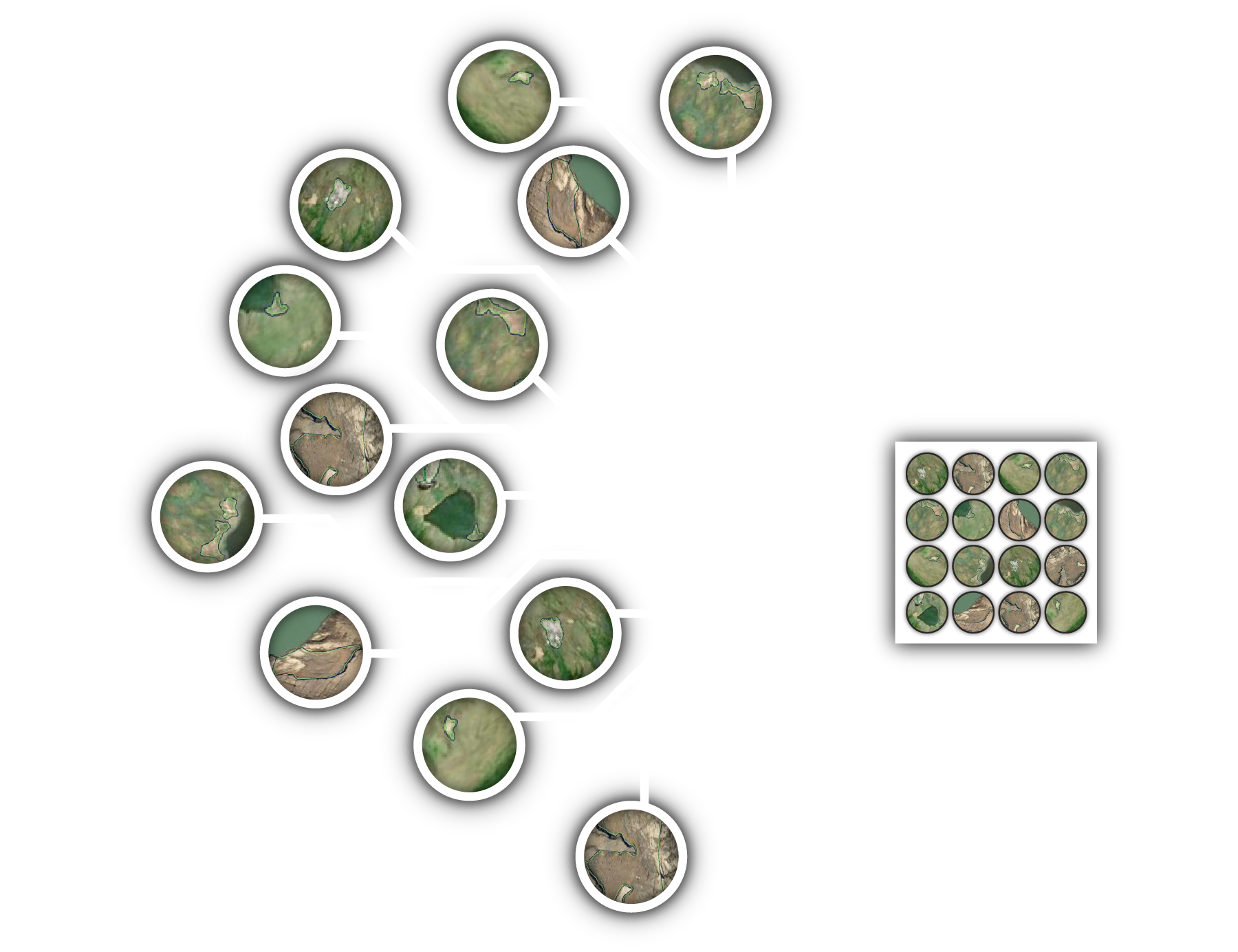 network of inputs into an ai model