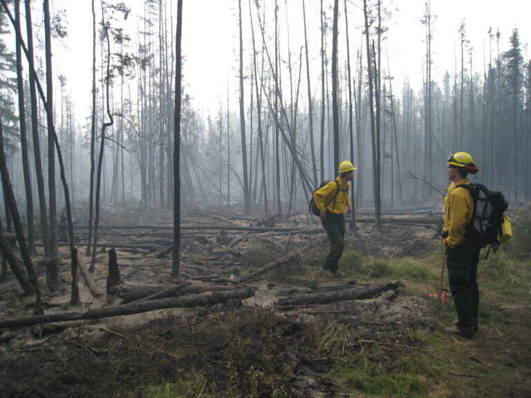 Researchers study burn severity and consumption immediately after a fire