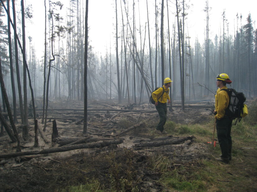Researchers study burn severity and consumption immediately after a fire