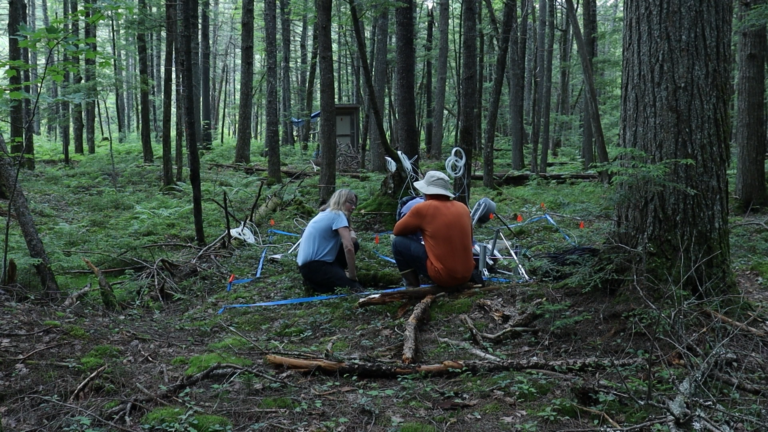 kathleen savage and avion brown in howland forest with methane monitoring equipment