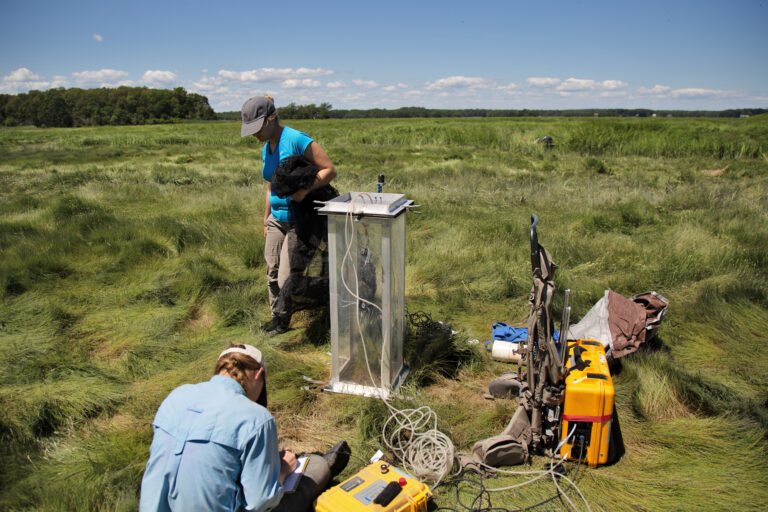 researchers of TIDE in a field with some equipment