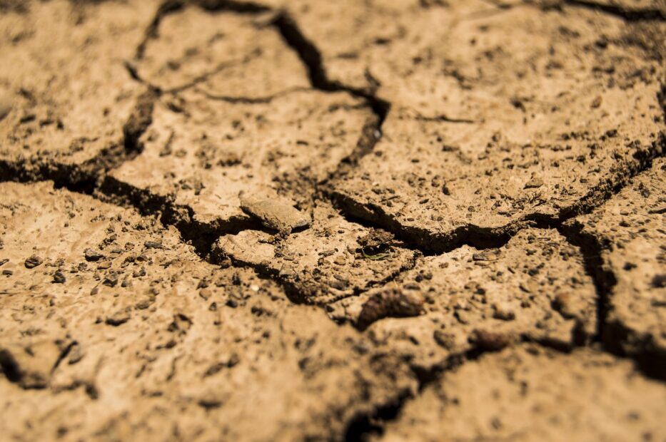 cracked, dry brown soil