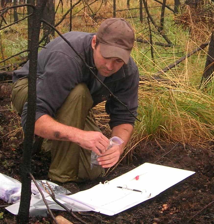 A researcher collects soil samples from the floor of a recently-burned forest