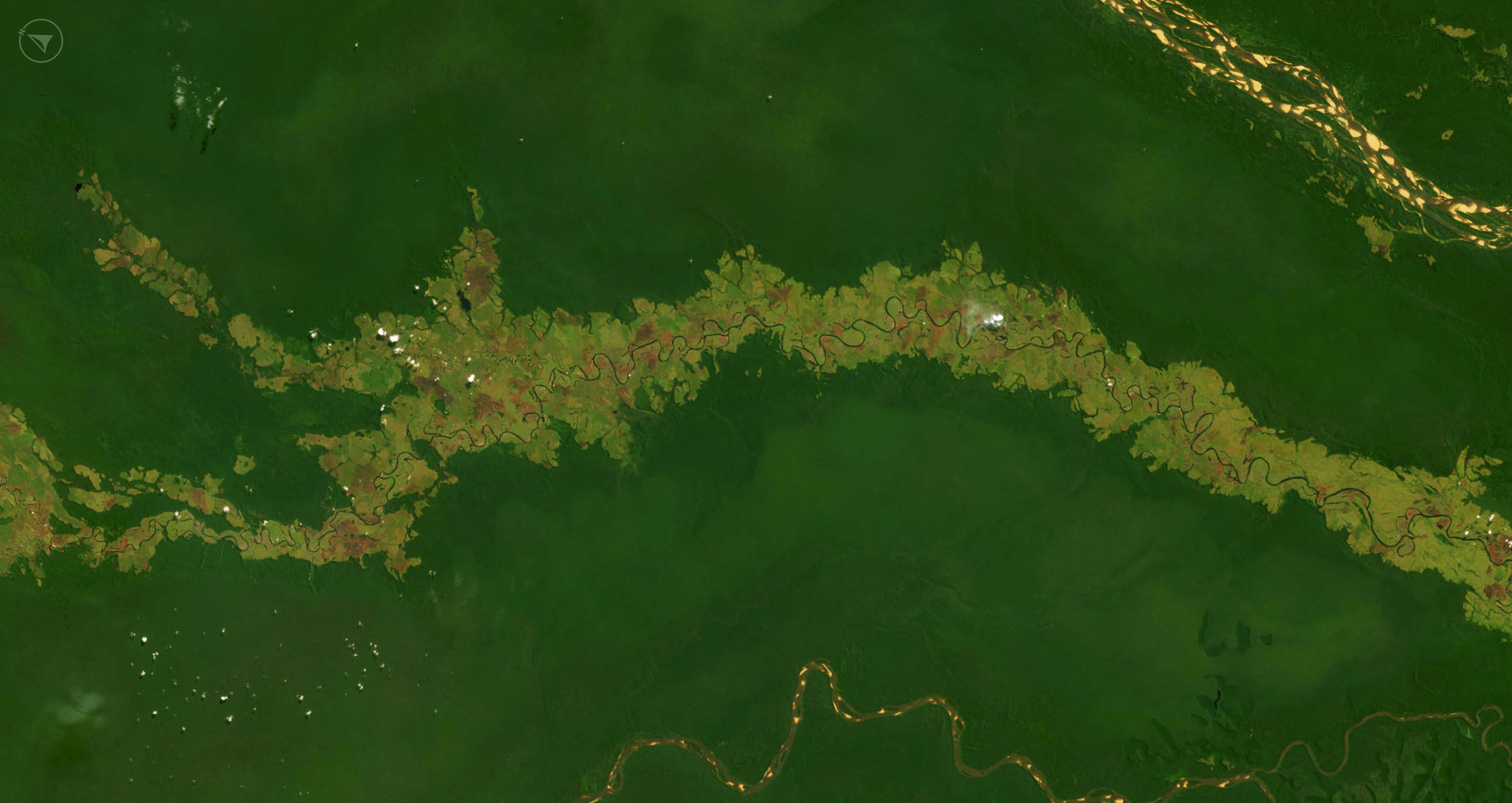 satellite image of peatland areas in drc