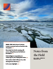 December 2024 Month in Review cover