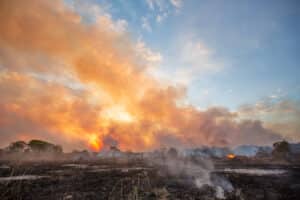 Fire smoldering during the dry season in Pantanal, Brazil.