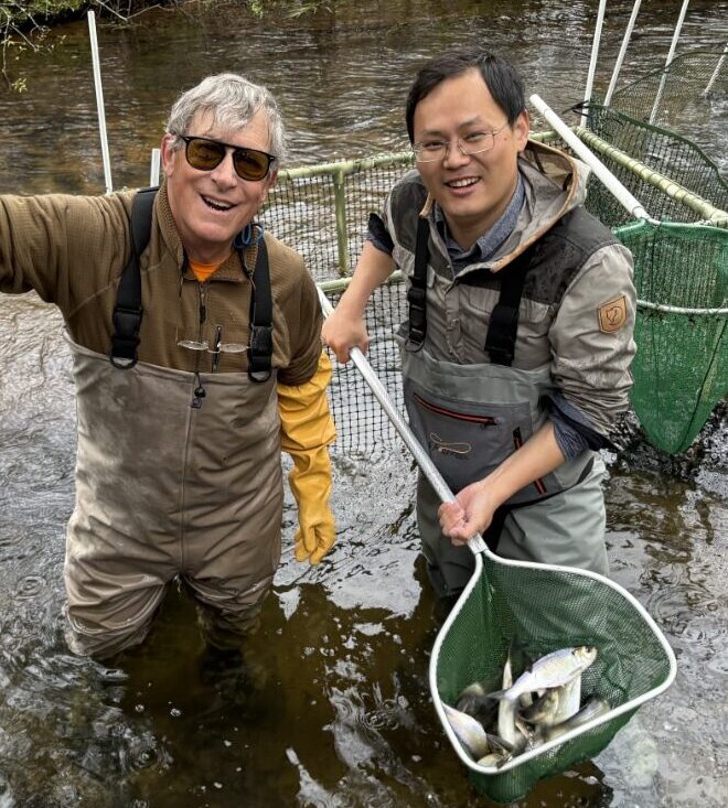 two men wearing waders stand in a river. one is wearing yellow gloves, the other one holds a green net full of medium-sized silver fish
