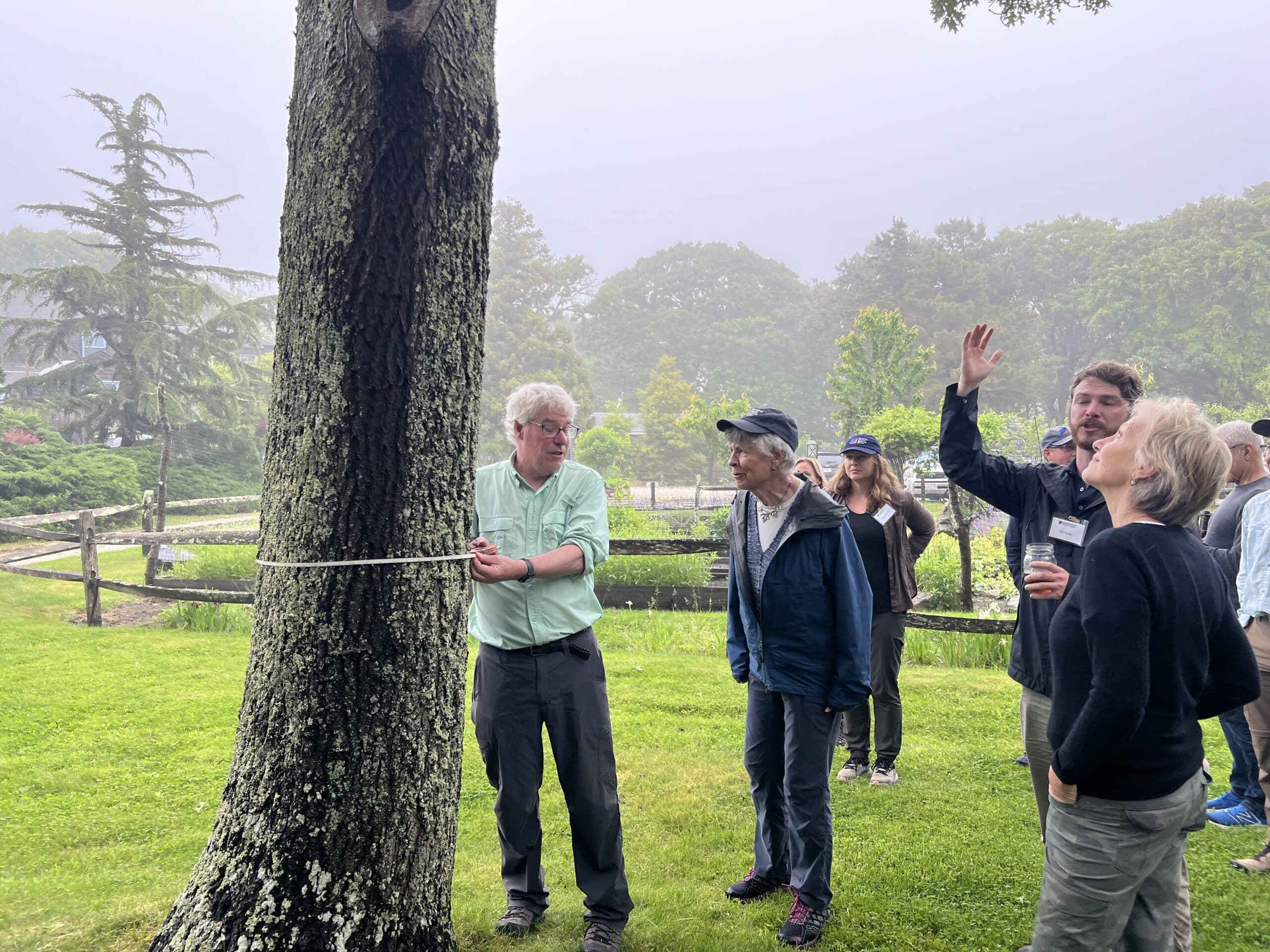 Senior Scientist, Dr. Chris Neill demonstrates how to manually take biomass measurements for Woodwell Climate board members