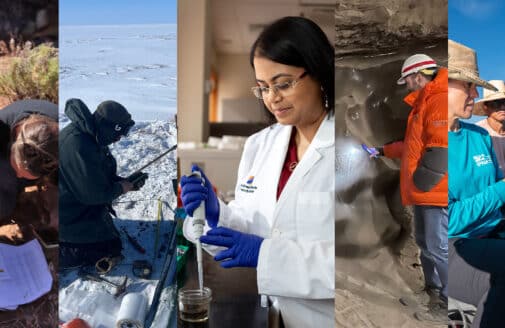 collage of Woodwell Climate scientists working.