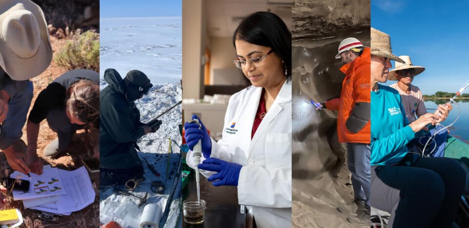 collage of Woodwell Climate scientists working.