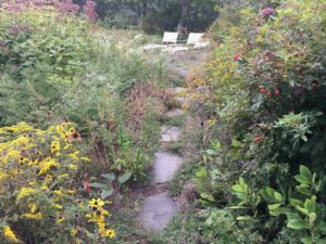 a stone walkway bordered by lush vegetation with a variety of small colored flowers