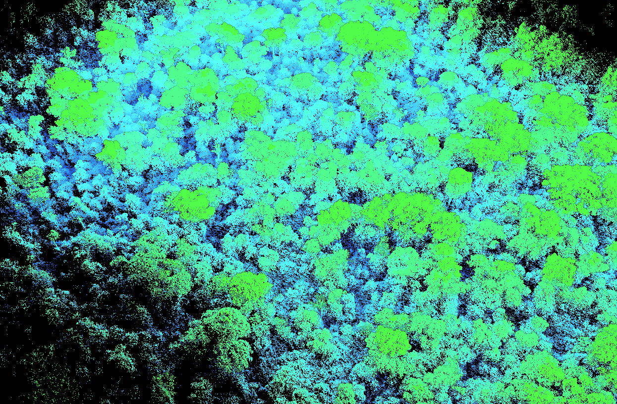 Amazon rainforest at Tanguro Lidar GIF