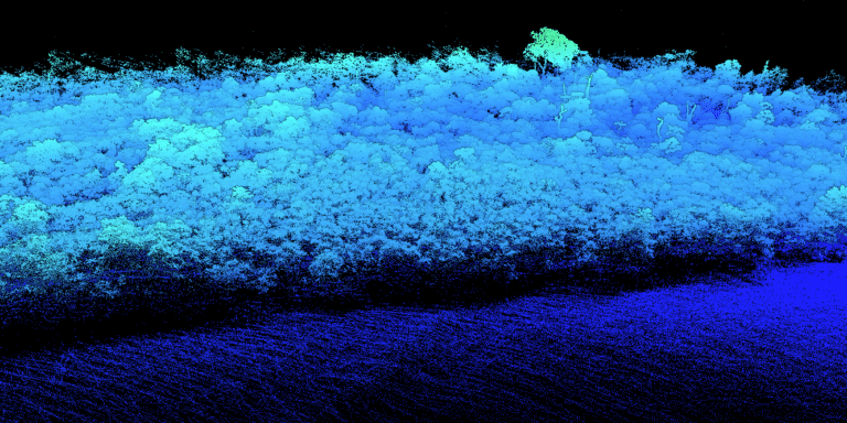 A lidar scan of a study plot in the Amazon/Cerrado transition zone of Brazil.