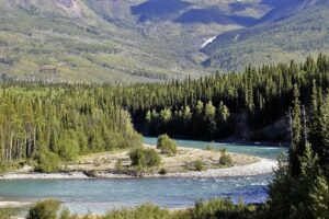 a photograph of a bend in a river, with blue waters and evergreen trees growing nearby. mountain foothills appear in the background