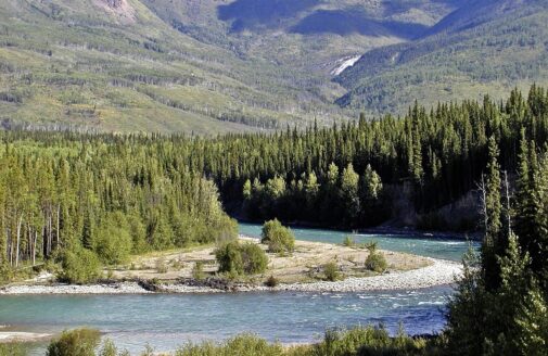 a photograph of a bend in a river, with blue waters and evergreen trees growing nearby. mountain foothills appear in the background