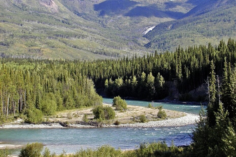 a photograph of a bend in a river, with blue waters and evergreen trees growing nearby. mountain foothills appear in the background