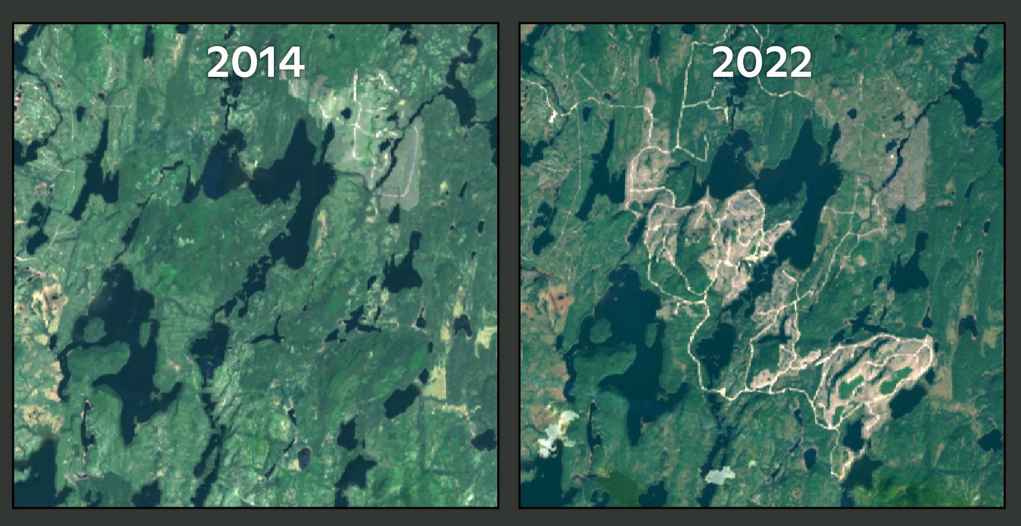comparison of satelite imagery showing large scale logging event
