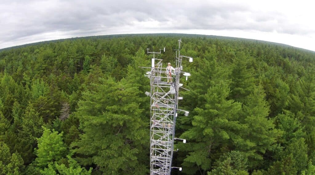 aerial photo of a metal tower rising above an expanse of forest. Atop the tower is a researcher.