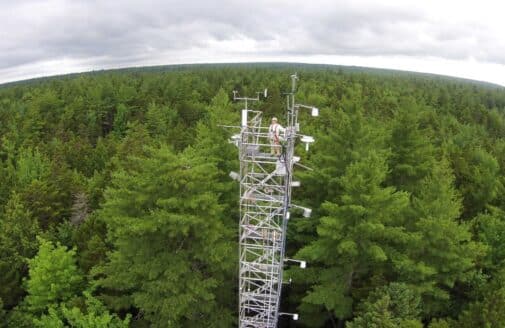 aerial photo of a metal tower rising above an expanse of forest. Atop the tower is a researcher.